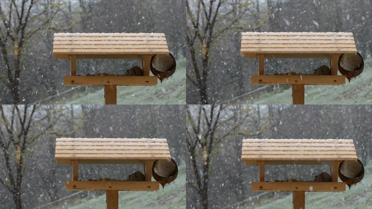春季后期，潮湿和大雪迅速覆盖了木制喂鸟器