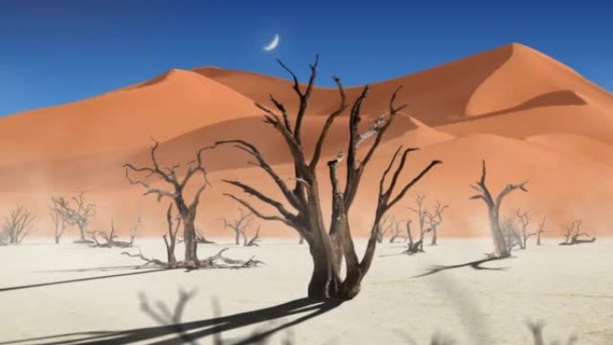 枯树与沙漠景观动画