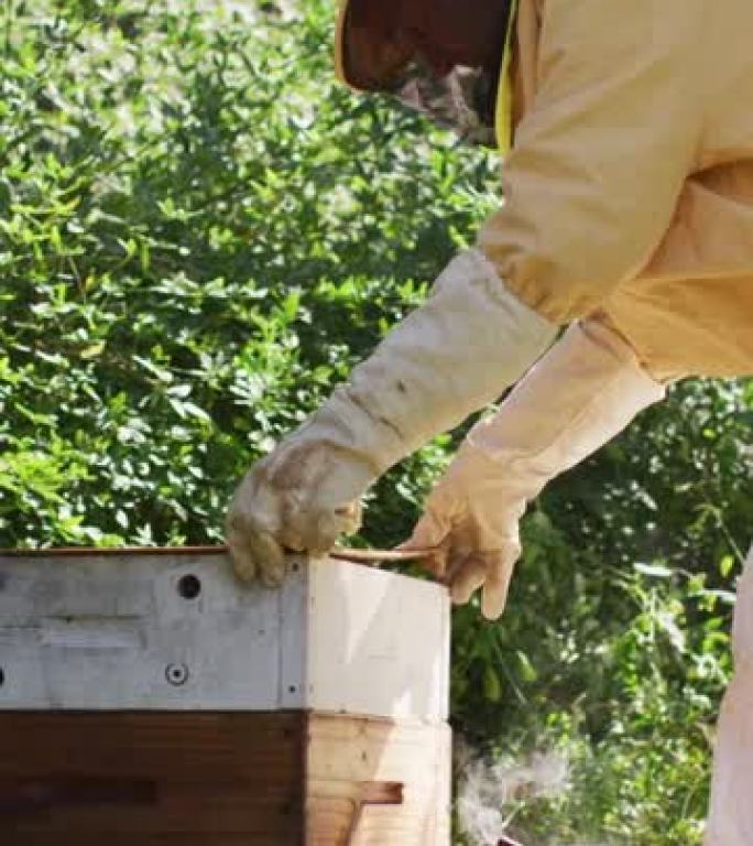 一名高级高加索男性养蜂人打开蜂箱的垂直镜头