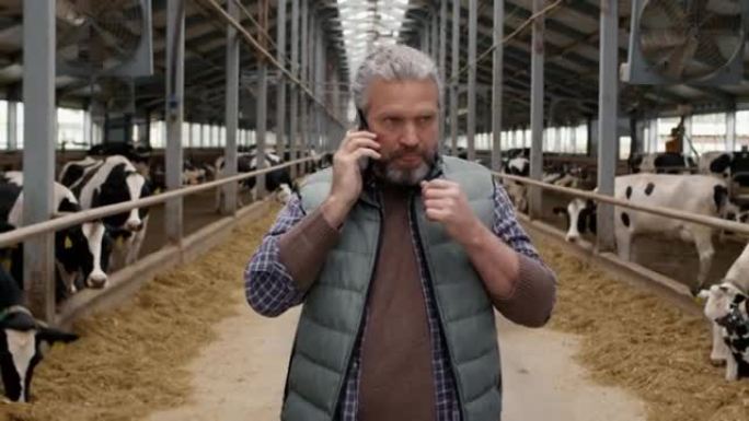男子走过奶牛场并通过电话交谈