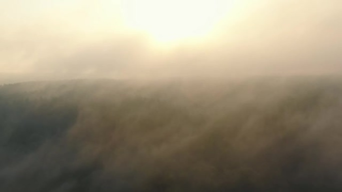 抽象的自然背景，在阴暗的夏季日出时，无人机在树木和河流上飞行成浓浓的白雾雾。