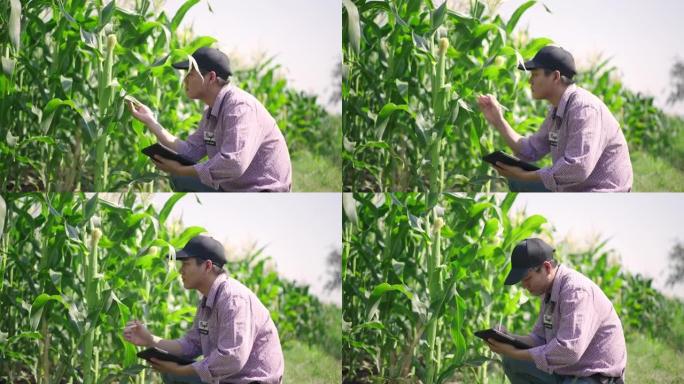 农民在农场使用数字平板电脑和监控