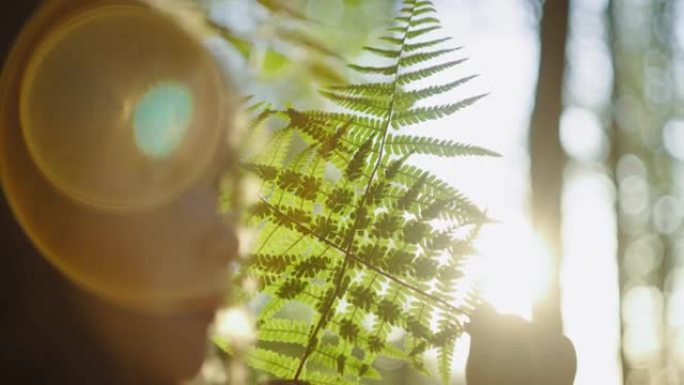 SLO MO小女孩在阳光下拿着一小树枝蕨类植物