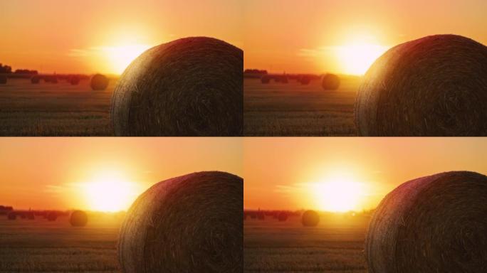 日落时分，SLO MO DS在田间打包了小麦