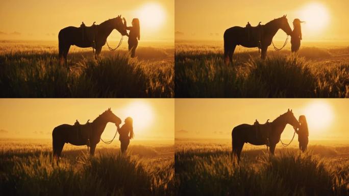 日落时，一个女人的SLO MO剪影在田野中间抚摸着她的马