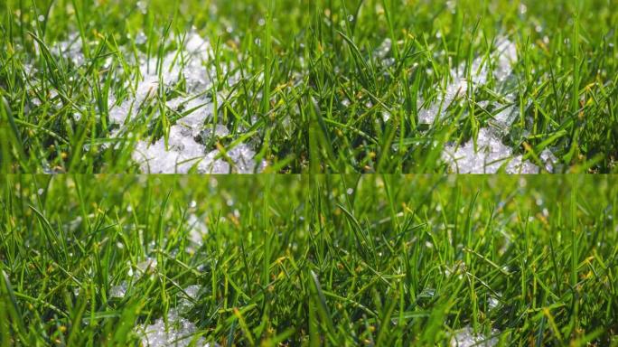 春季草地上积雪融化的时间流逝