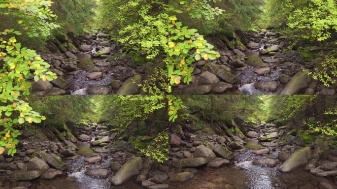 森林里有许多小瀑布的河流。溪流在树木环绕的大石头之间快速流动。Steadicam慢动作镜头