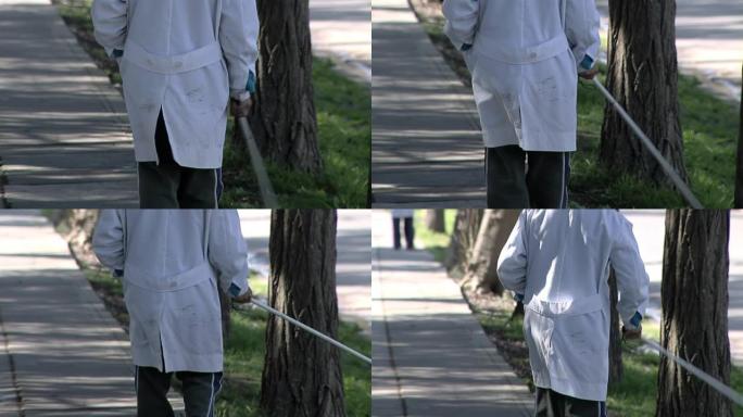 在阿根廷布宜诺斯艾利斯，一个盲人小学生用拐杖或拐杖走在街上。
