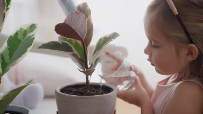 小女孩在家浇水植物给水培育成长的孩子享受对自然的责任4k