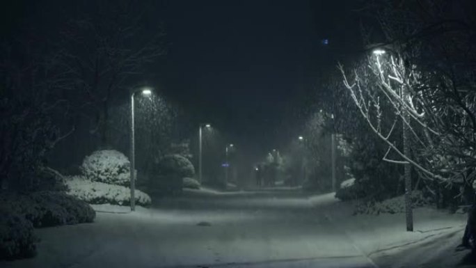夜间街道降雪冬季景色下雪素材大雨纷飞