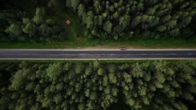 黑暗森林中的道路。空中射击