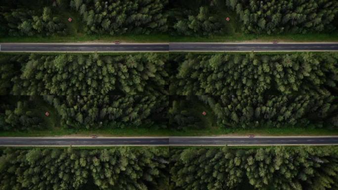 黑暗森林中的道路。空中射击