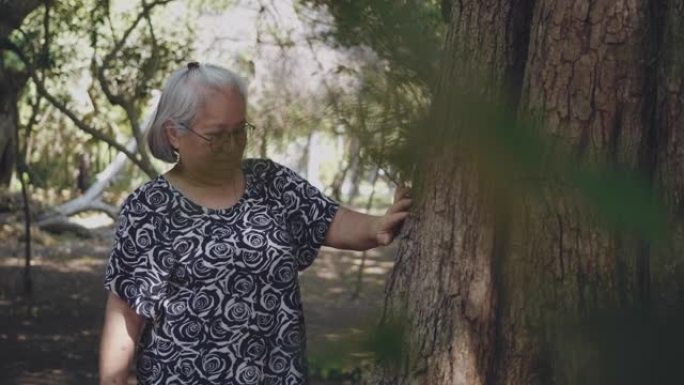 在热带雨林中，高级妇女用手轻轻地抚摸墙壁上的苔藓。