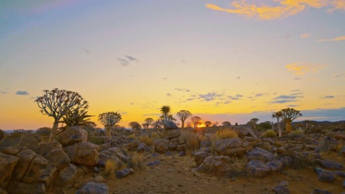 WS日落时宁静的箭袋森林，纳米比亚，非洲