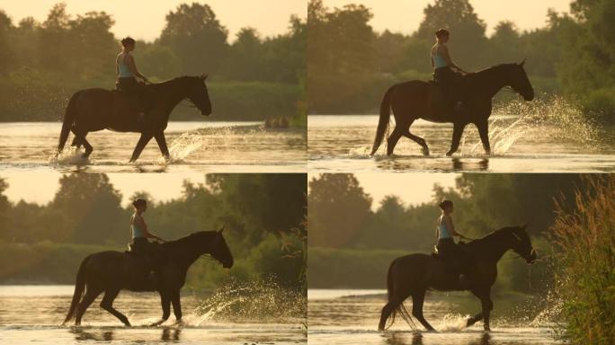 慢动作: 骑着马的年轻女子在日出时穿过一条浅河。