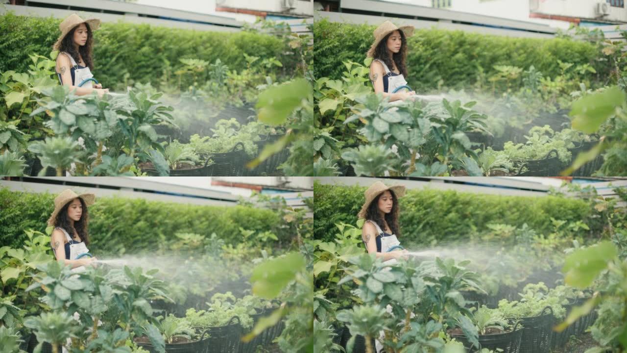 亚洲妇女在她的家庭花园中照顾植物