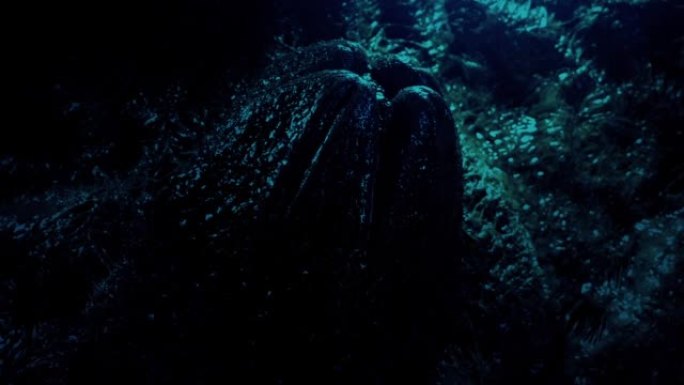 黑暗洞穴科幻场景中的外星人蛋