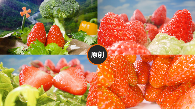 T0215草莓微距