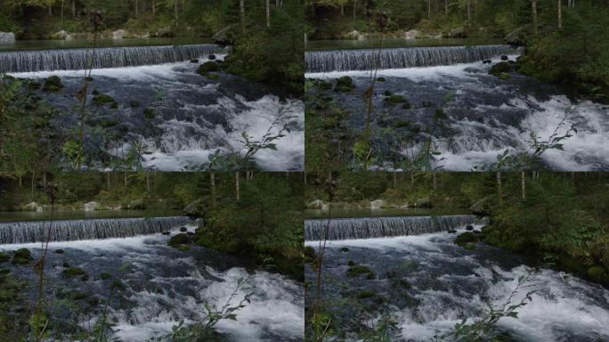 慢动作: 河流层叠穿过森林，形成阴沉的自然风光。