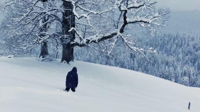 迷失的徒步旅行者独自行走在深雪中迷失方向冬季景观户外探险之旅