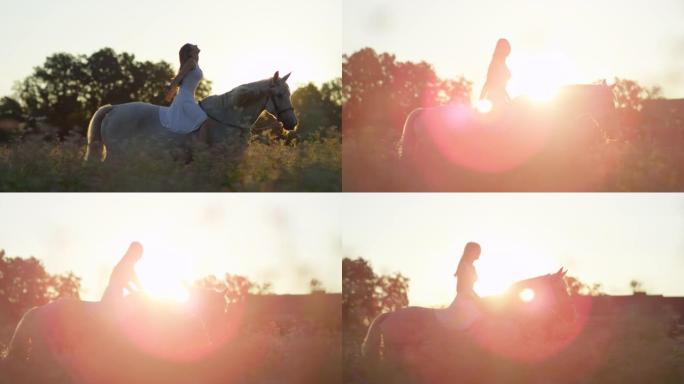镜头耀斑快乐的女人骑马放开缰绳，伸出手臂