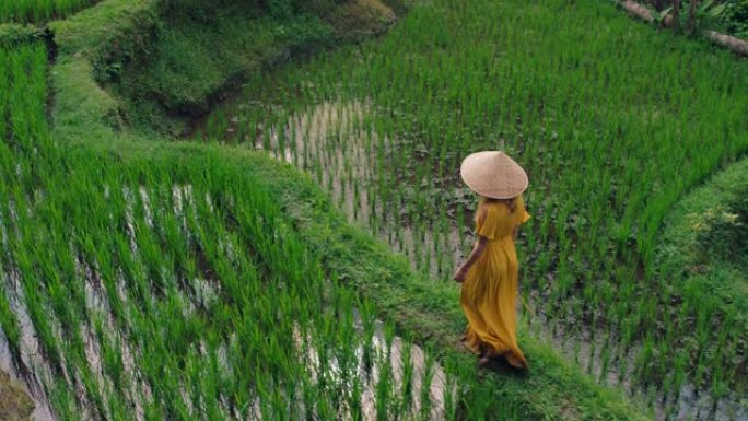 女人穿着黄色连衣裙，戴着圆锥形帽子，在文化景观中探索郁郁葱葱的绿色大米露台，穿越巴厘岛印度尼西亚发现