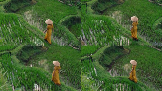 女人穿着黄色连衣裙，戴着圆锥形帽子，在文化景观中探索郁郁葱葱的绿色大米露台，穿越巴厘岛印度尼西亚发现