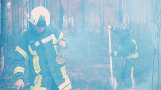 消防员正在铲倒树林。消防员，消防员，森林火灾概念。
