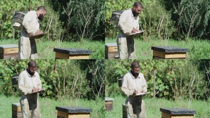 一个英俊的年轻养蜂人在养蜂场工作的4k视频片段