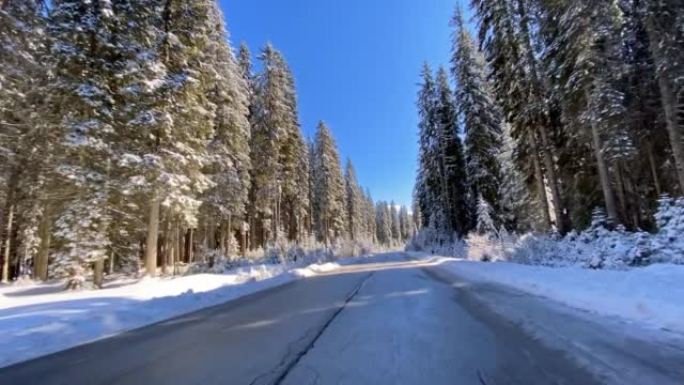 冬天沿着积雪覆盖的森林在空旷的道路上行驶