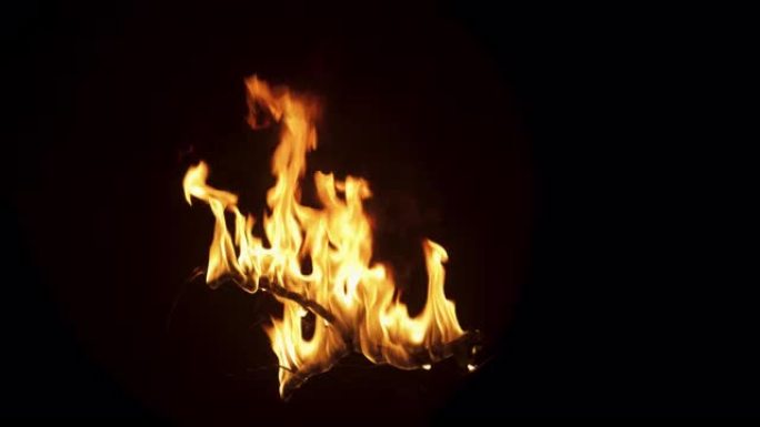 黑色背景下的慢动作镜头: 树枝在强烈的火中燃烧。火焰慢慢消失。特殊效果、视觉效果、后期制作、动画的孤