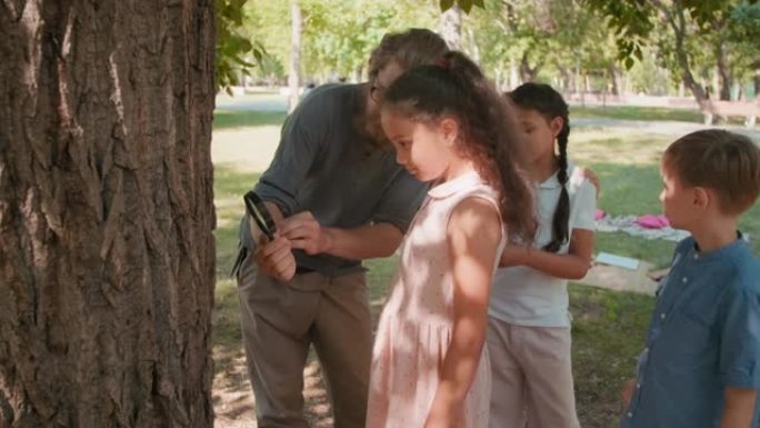 老师和孩子们用放大镜检查树皮