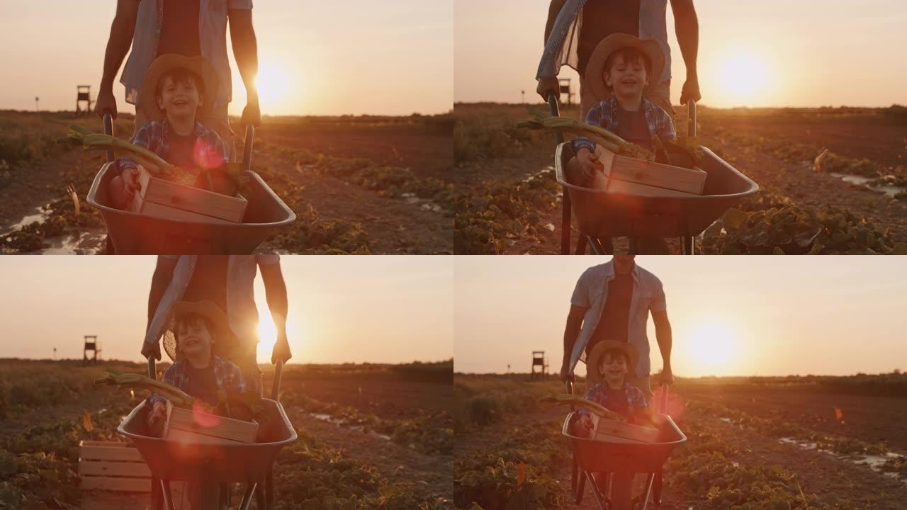 日落时分，SLO MO的父亲在田野中央的独轮车上兜风