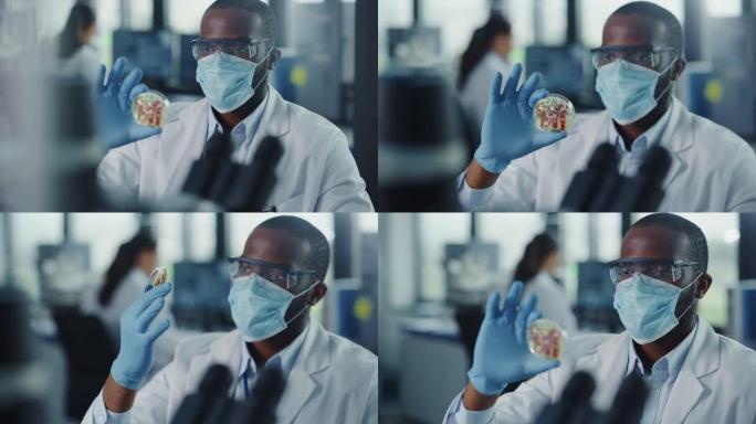 黑人男性科学家戴着口罩和眼镜，看着装有转基因样品化学物质的培养皿。用技术设备在现代实验室工作的微生物