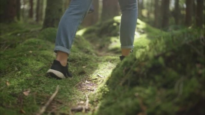 女人在斯堪的纳维亚半岛的森林中漫步