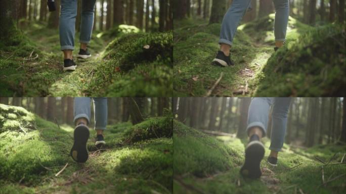 女人在斯堪的纳维亚半岛的森林中漫步