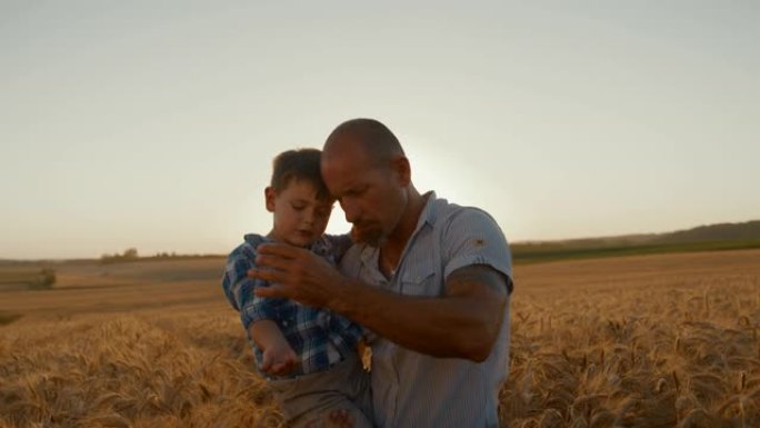 父亲和儿子在农田上有小麦谷物