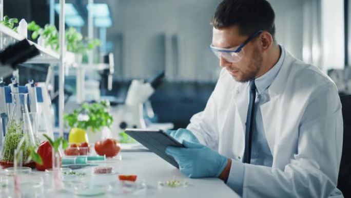 男性微生物学家在平板电脑上工作，并检查实验室种植的纯素食肉样本。在现代食品科学实验室中研究植物性牛肉