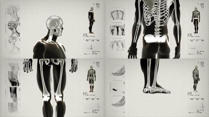 详细的人体转动。骨架。可循环。黑色/白色。白色背景。
