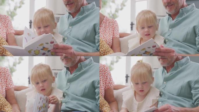 祖父母坐在沙发上与孙女一起看书的特写