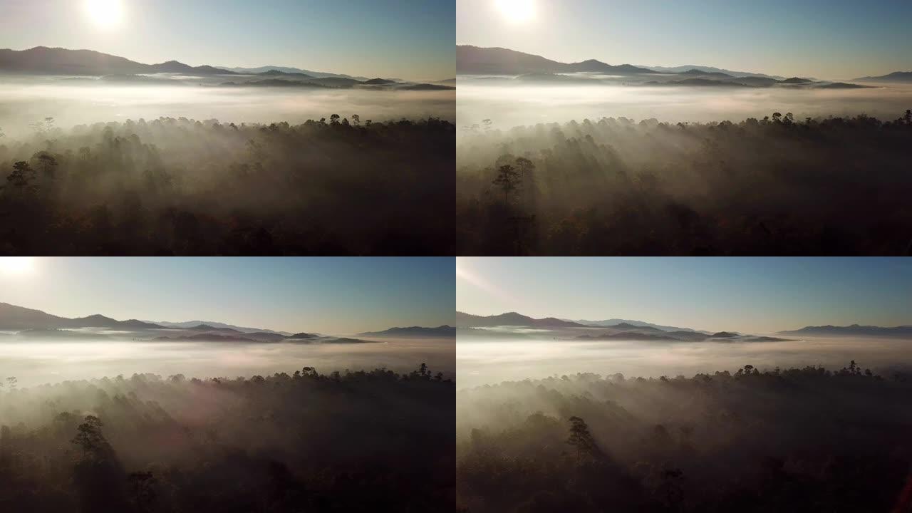早晨日出时，在森林上的云雾上方进行空中拍摄
