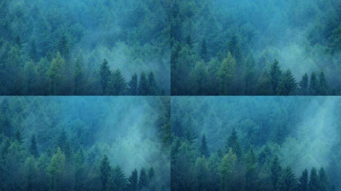 大雨中薄雾从森林中升起