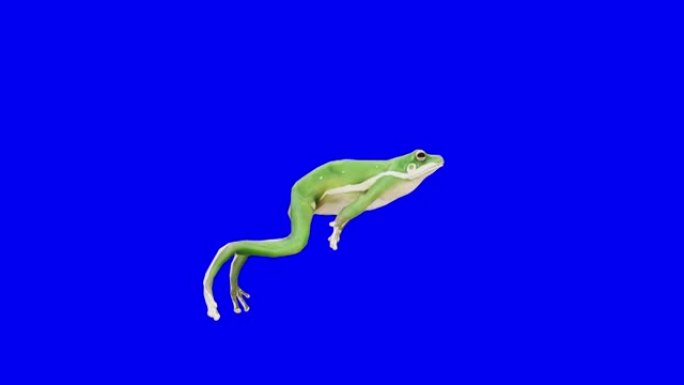 在蓝箱上运行绿色青蛙。动物的概念，野生动物，游戏，返校，3d动画，短视频，电影，卡通，有机，色键，人