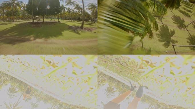 空中无人机撞树风景区椰子树江南美景旅游区