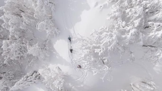 自上而下: 在滑雪旅行者上方飞行，爬上覆盖着新鲜积雪的山上