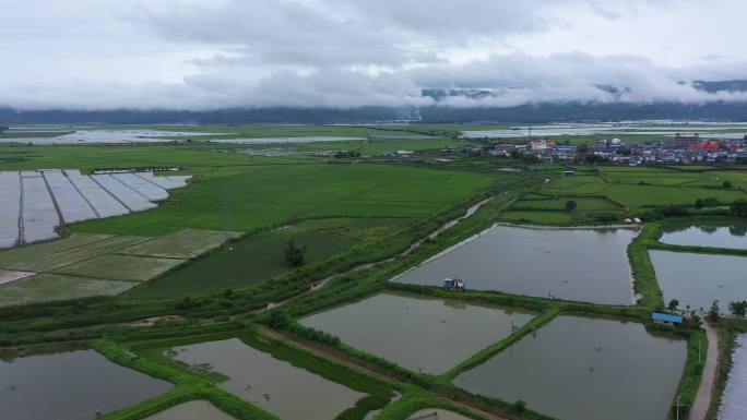 田地航拍