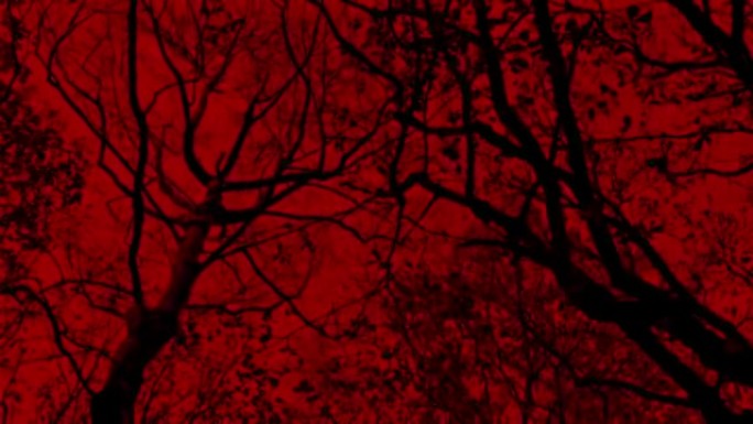 在树下移动，仰望可怕的红色天空