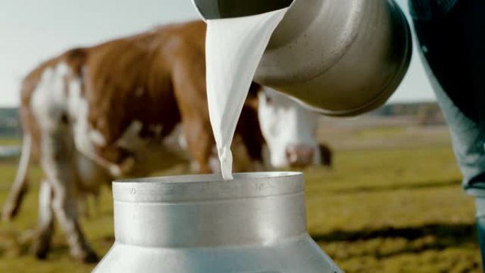 超级SLO MO时间扭曲镜头，农民将牛奶倒入牧场的桶中