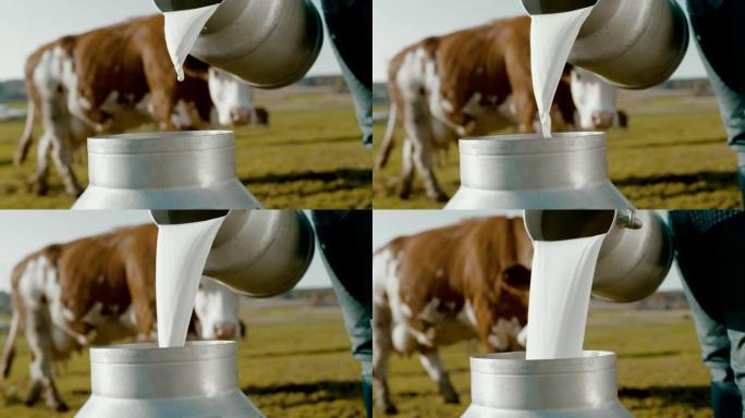 超级SLO MO时间扭曲镜头，农民将牛奶倒入牧场的桶中