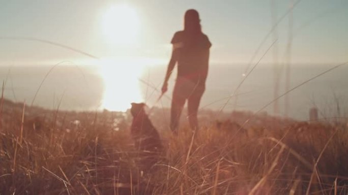 4k视频片段，一个无法识别的女人在与狗一起徒步旅行并观看日落时独自站立